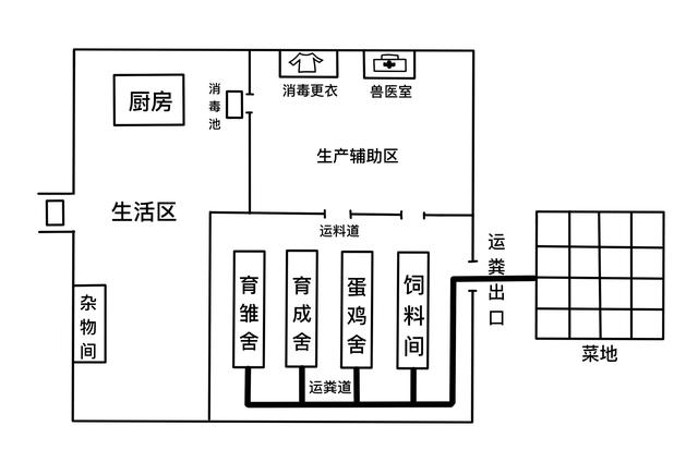 养鸡创业如何建设养鸡场