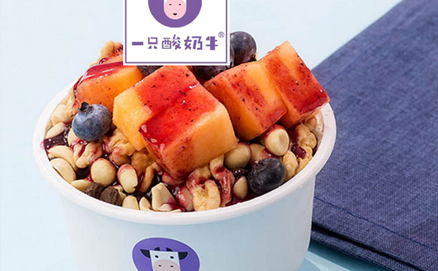 一只酸奶牛加盟实体店需要什么条件