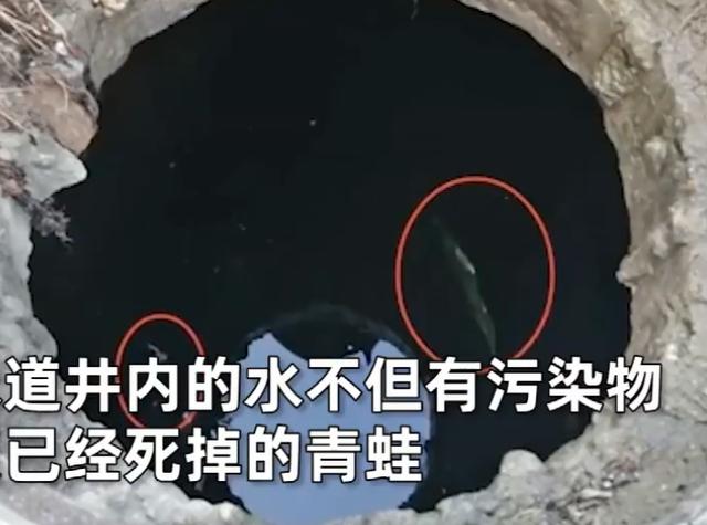 恶心想吐小吃摊贩疑从下水道取水做食物水面还漂浮1只死青蛙