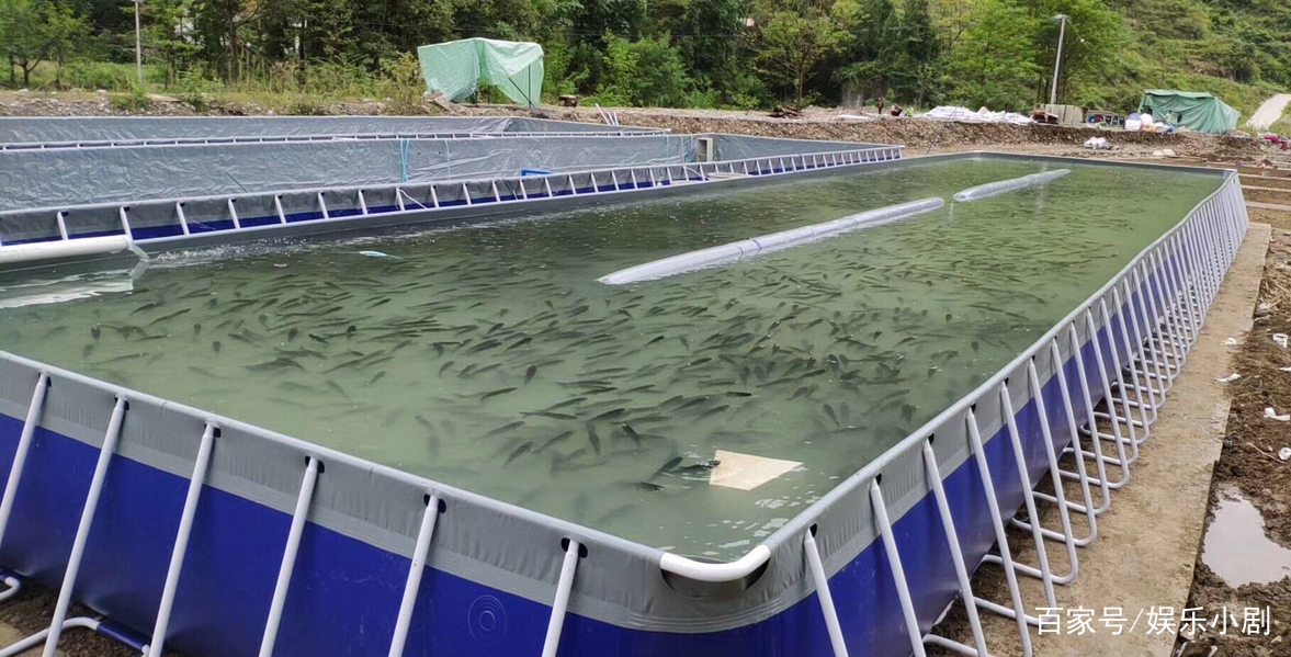 大學生採用新型工廠化養殖技術,水產養殖設備剛養殖的魚,蝦,水產成果