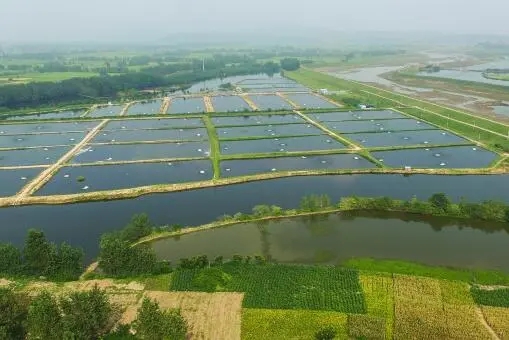 6萬元_南寶生態池漆加盟怎麼樣_水產養殖加盟項目有哪些?