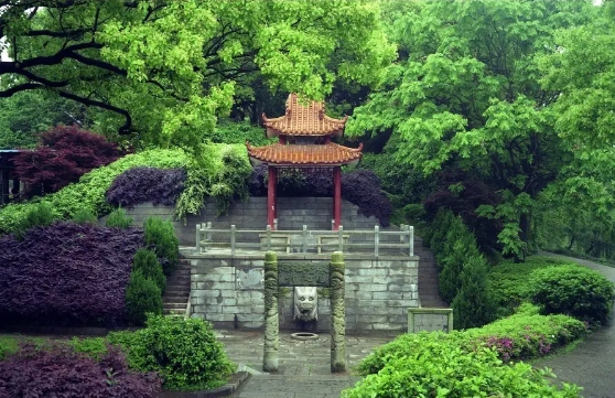 岳阳君山区发展前景如何?_加盟星百度招商加盟服务平台