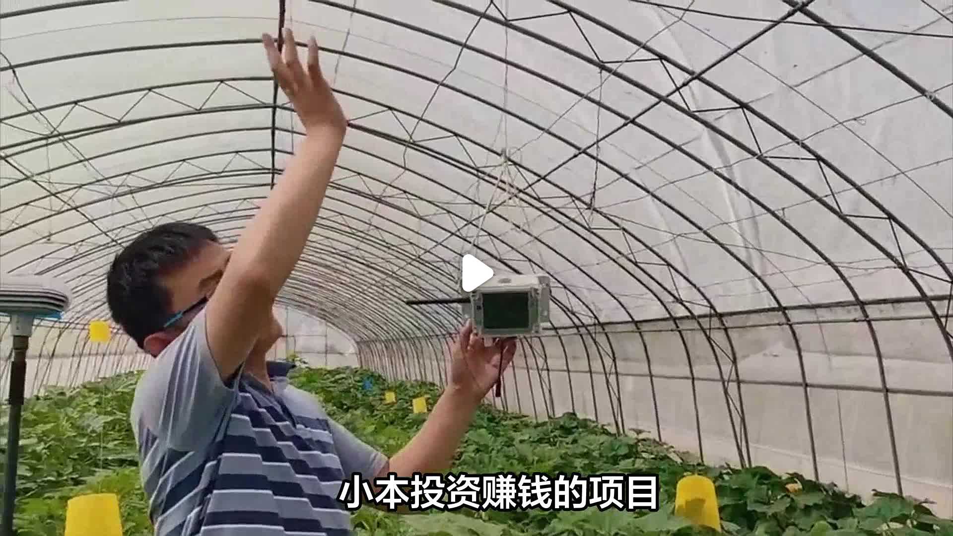 致富项目有什么(致富项目有什么项目)