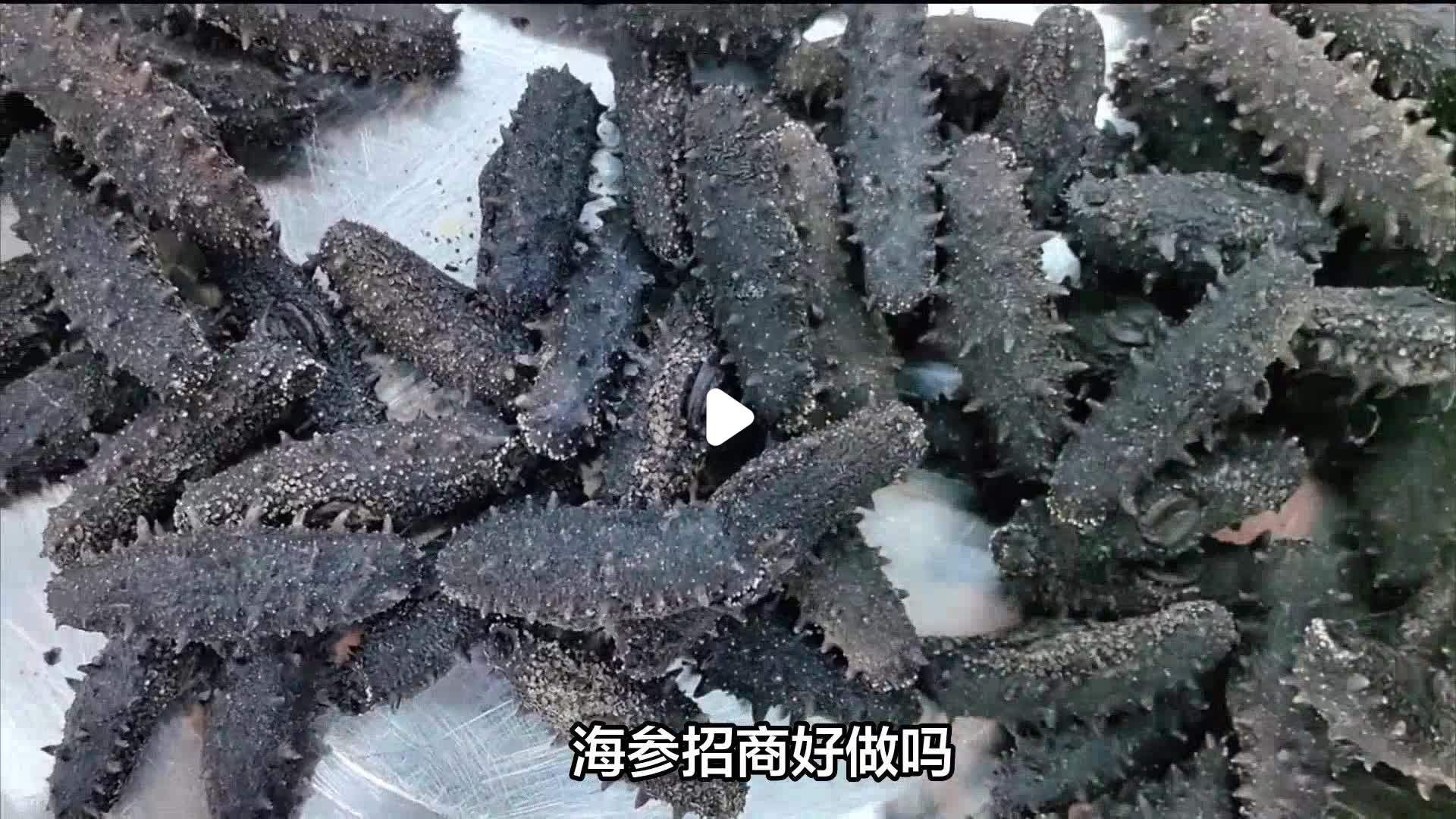 农村养殖业致富项目招商加盟费多少(农村养殖业致富项目招商加盟费多少钱)