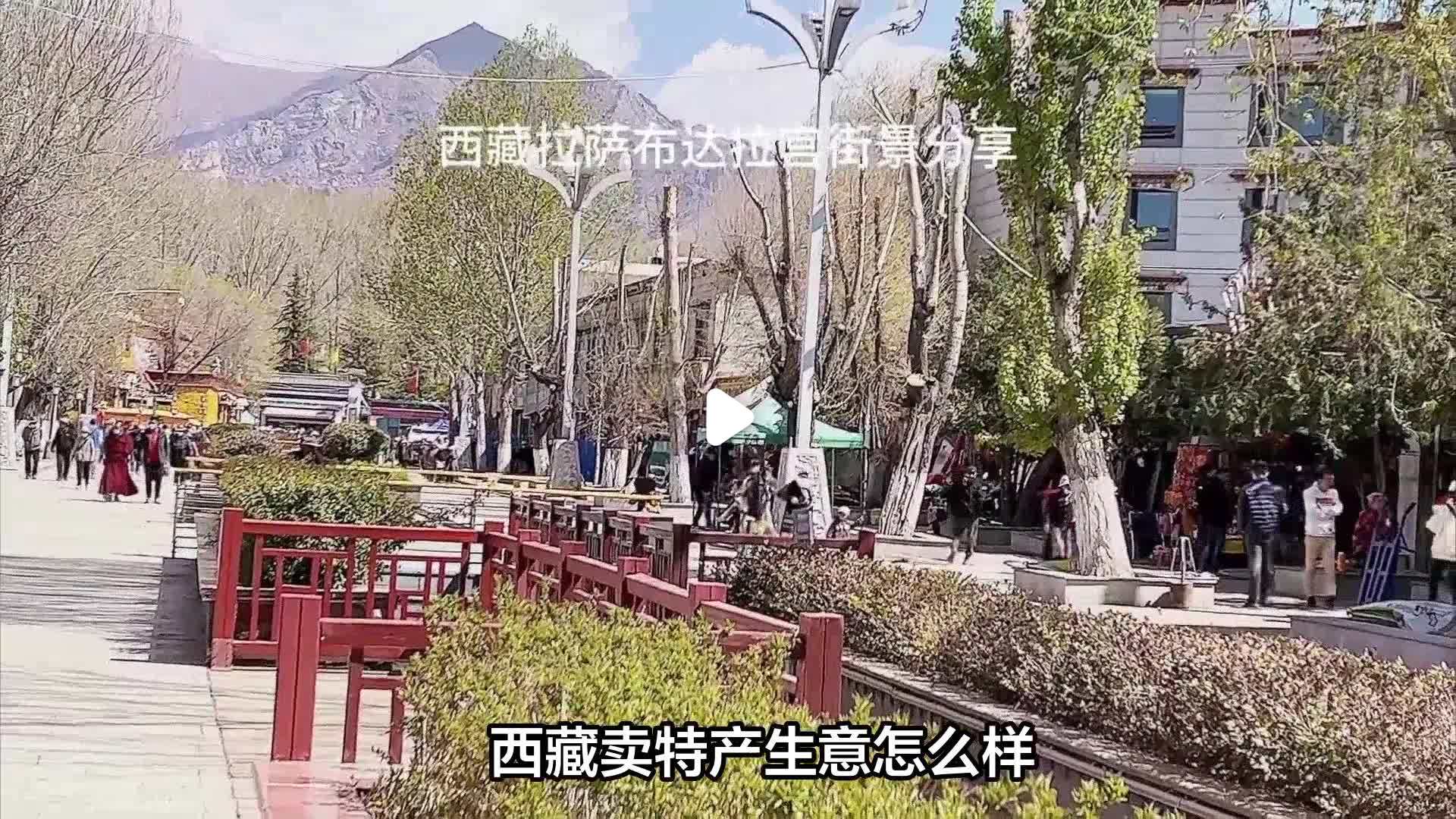 西藏适合做啥生意(西藏适合做啥生意赚钱)