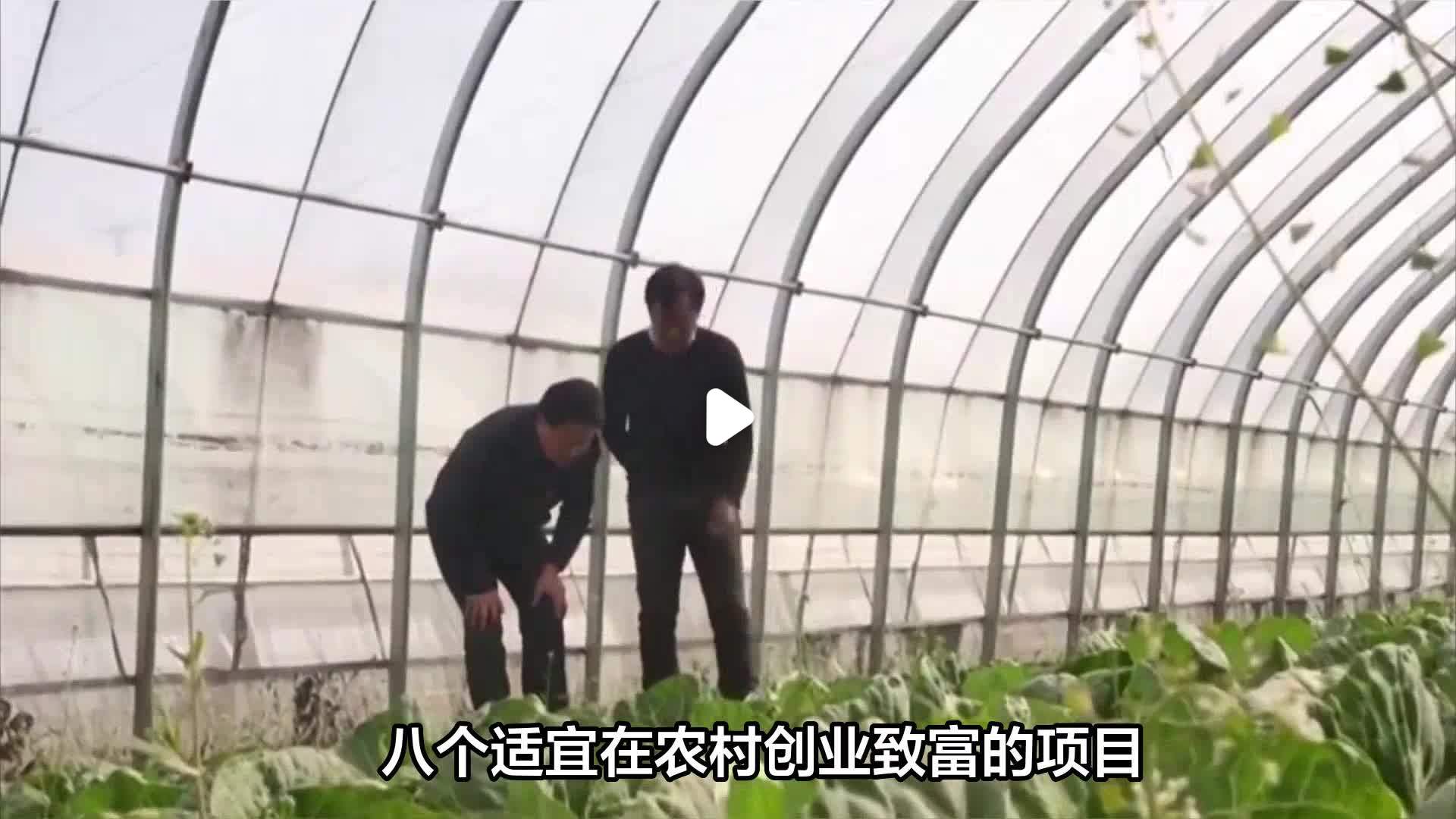 18个穷人创业致富项目(2020最适合穷人的创业项目)