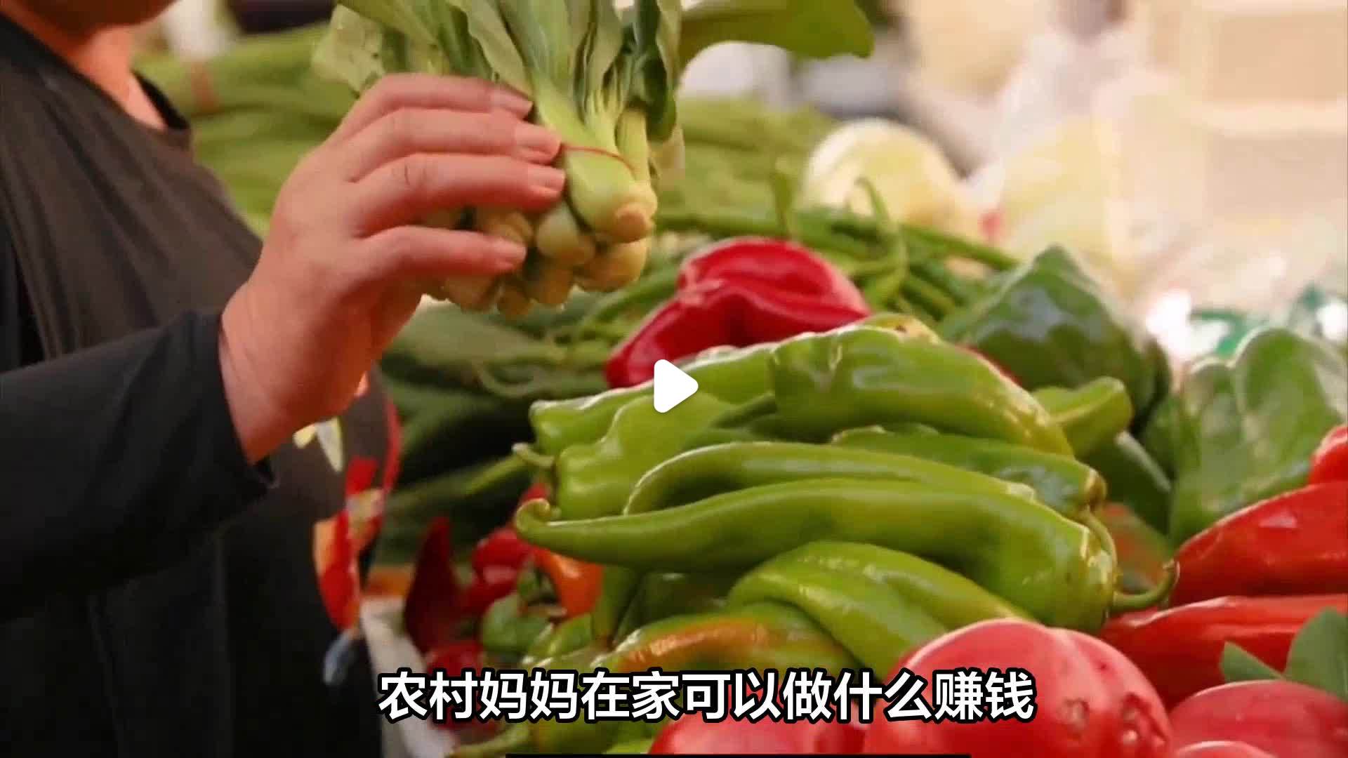 在农村干点什么能赚钱呢(在农村干点什么能赚钱呢视频)