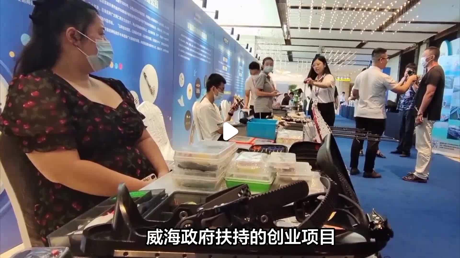 市政府扶持项目(市政府扶持项目有哪些)