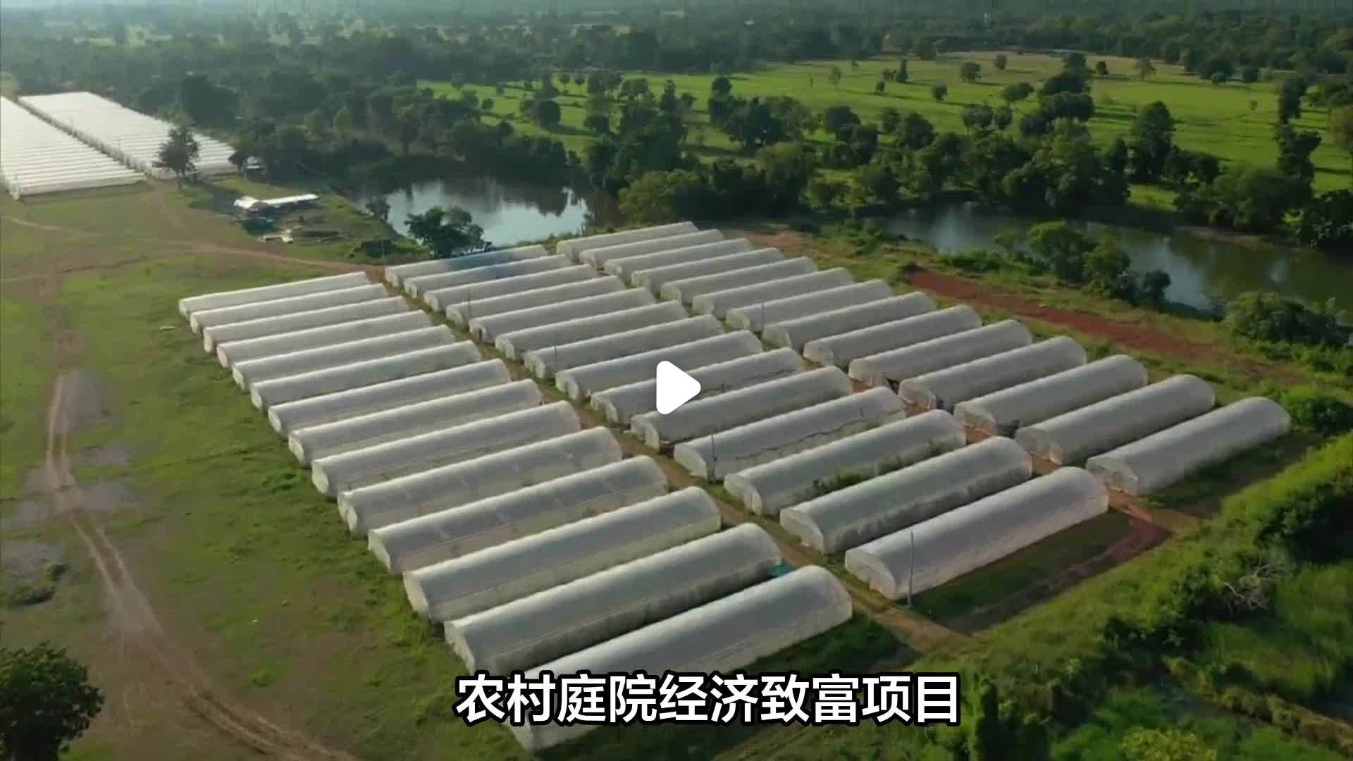 新型农村致富项目有哪些(新型农业致富好项目都有哪些)