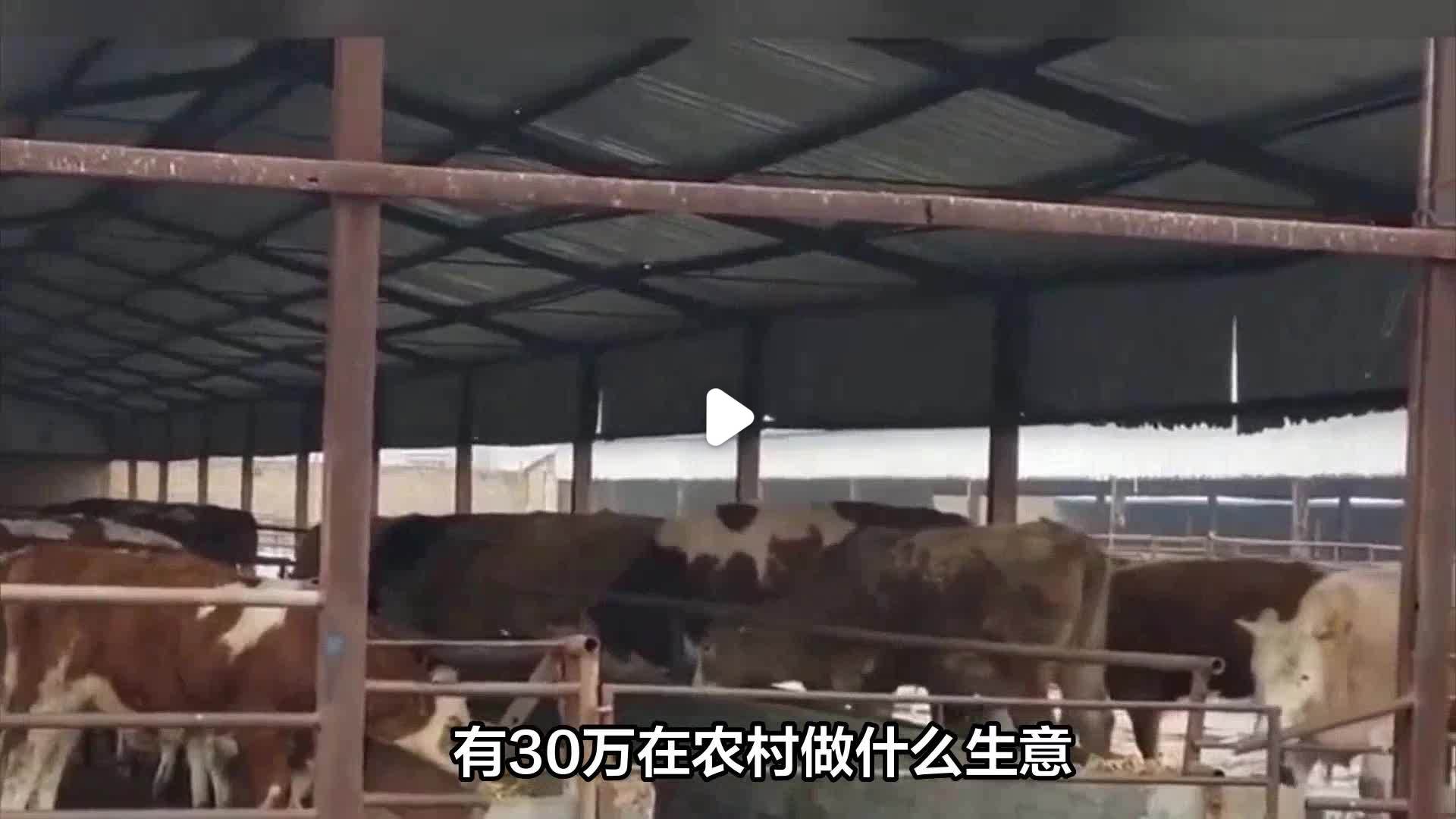 几万的生意可以做些撒子(几万的生意可以做些撒子赚钱)