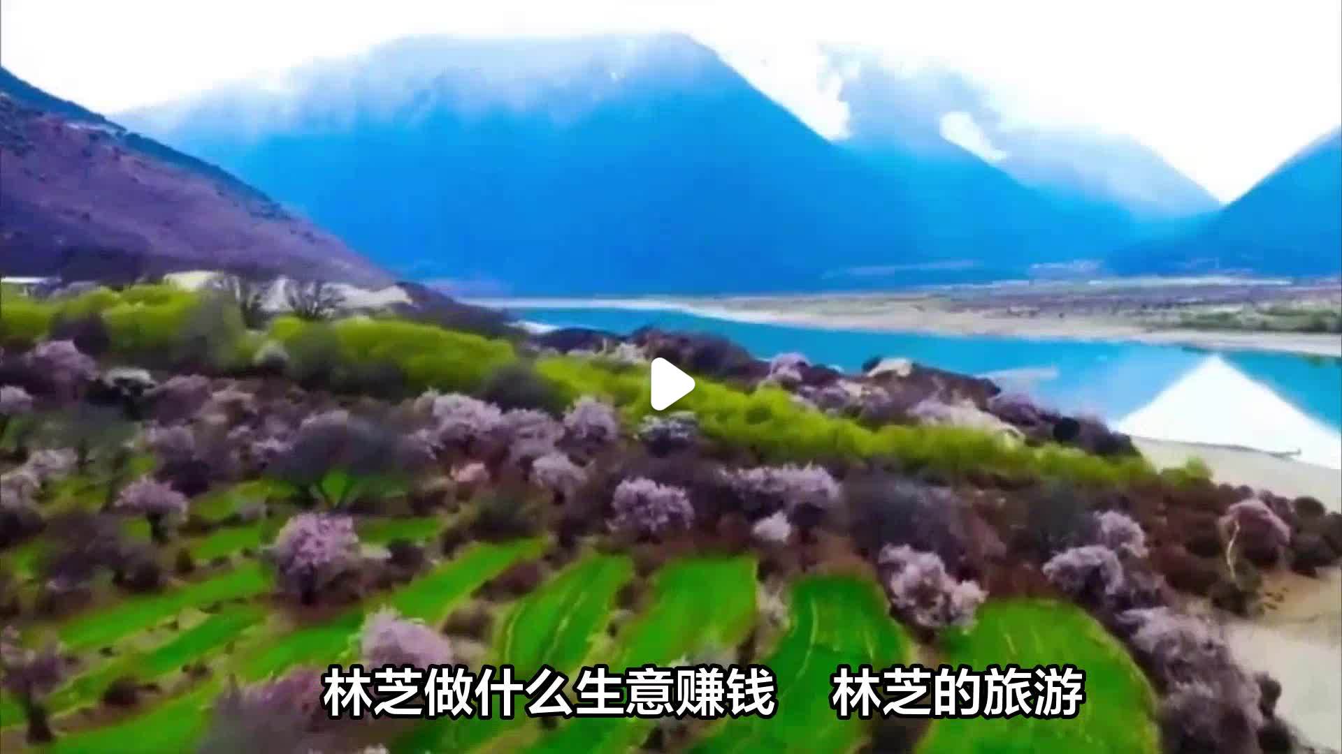 西藏做什么赚钱(在西藏做什么生意好做)