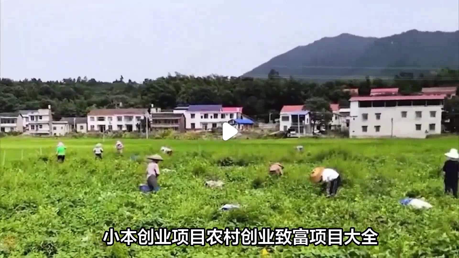 8个农村创业致富项目(农村创业项目大全2016)