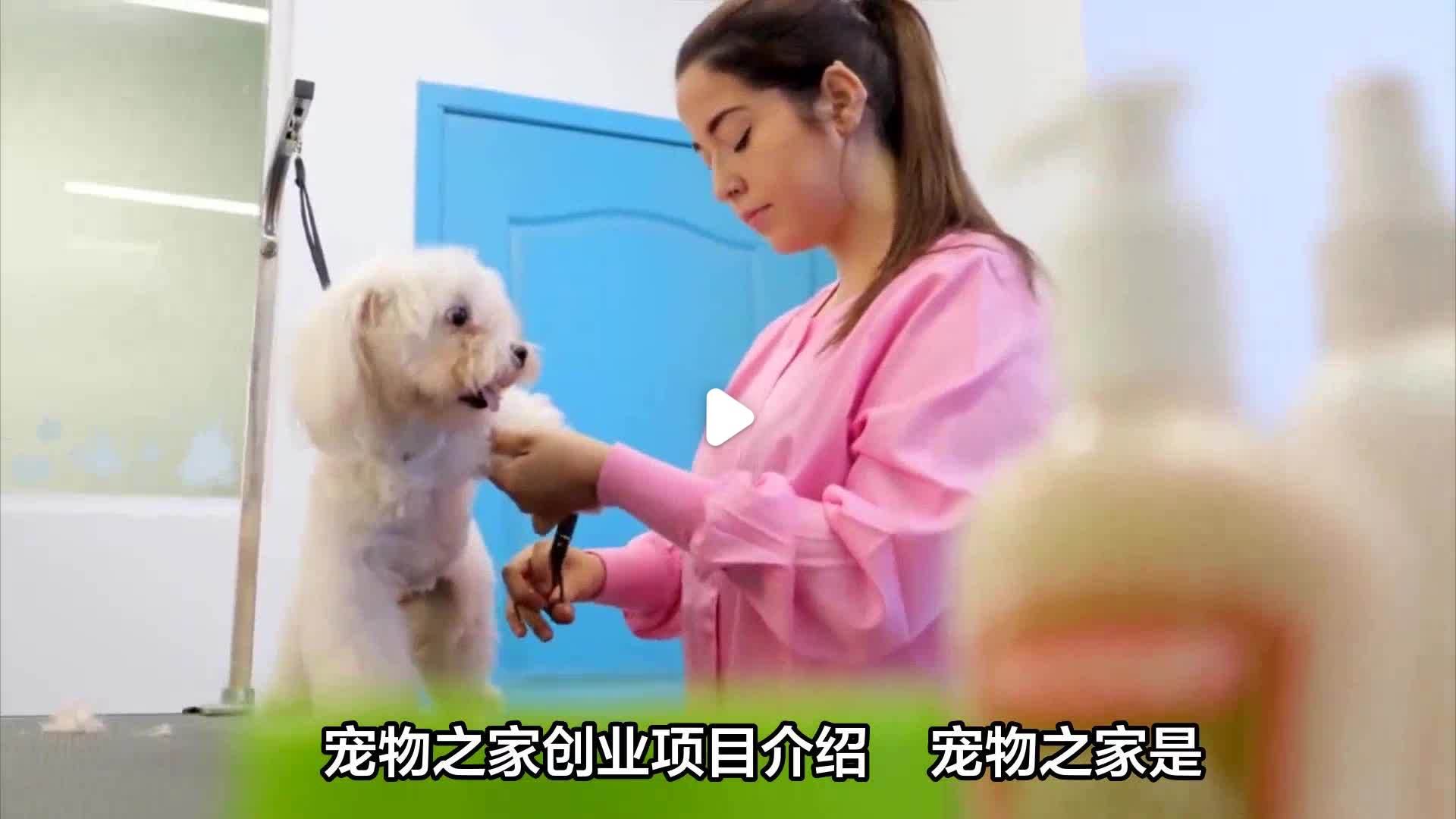 适合女性在家创业的项目(适合女性在家创业的项目名称)