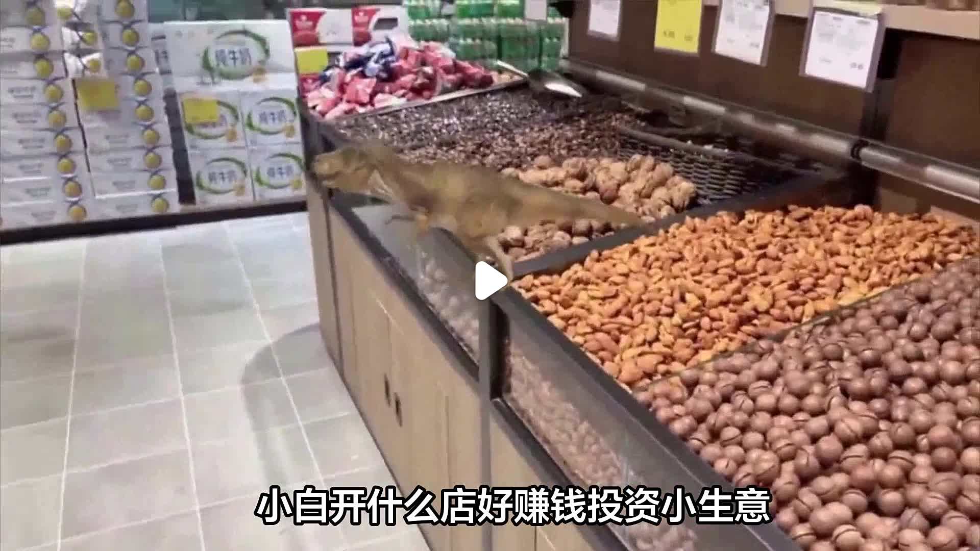 加盟什么店投资小收益大呢(2021加盟什么店最赚钱投资小)