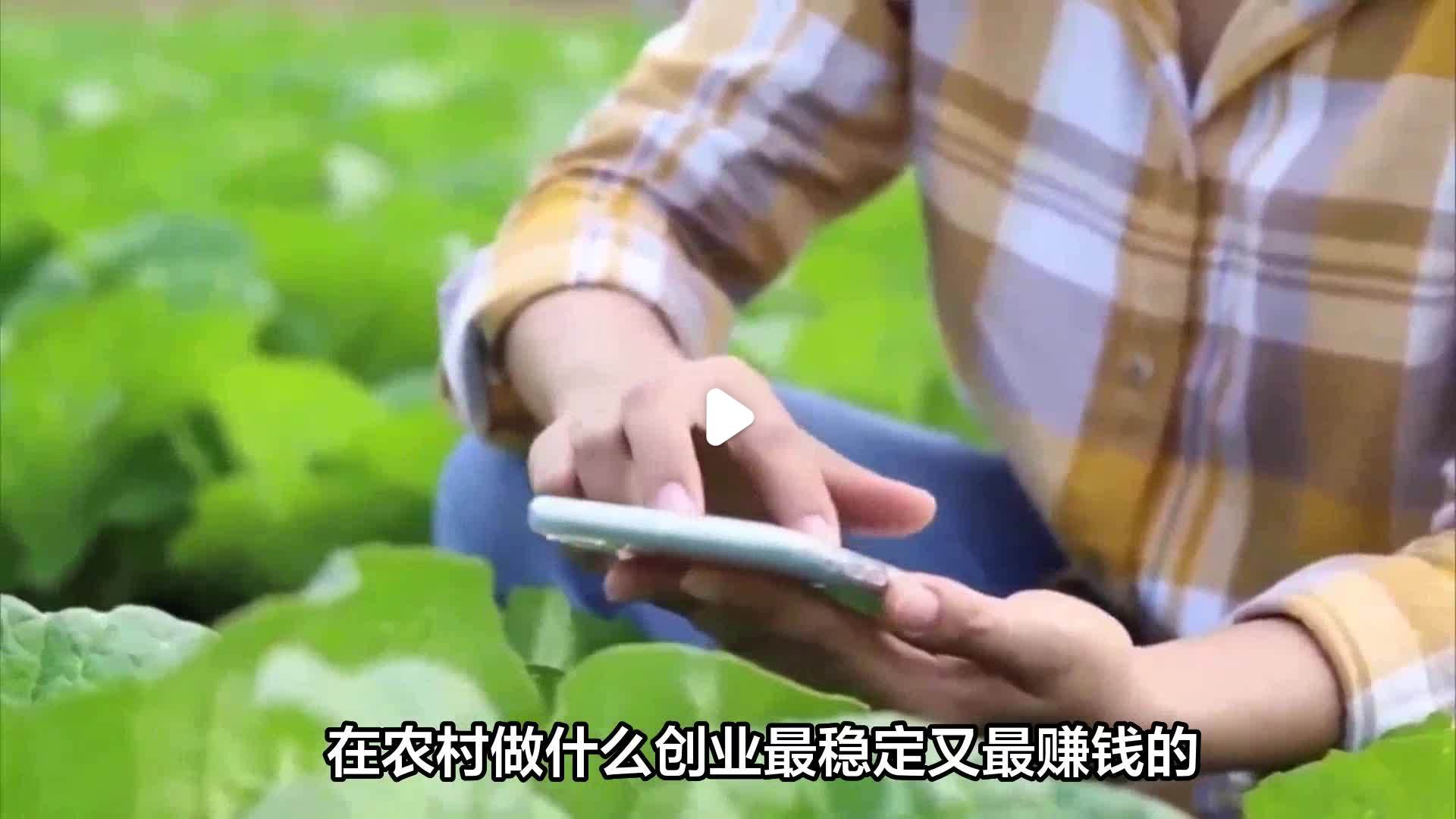 创业做什么赚钱多(创业做什么项目赚钱)