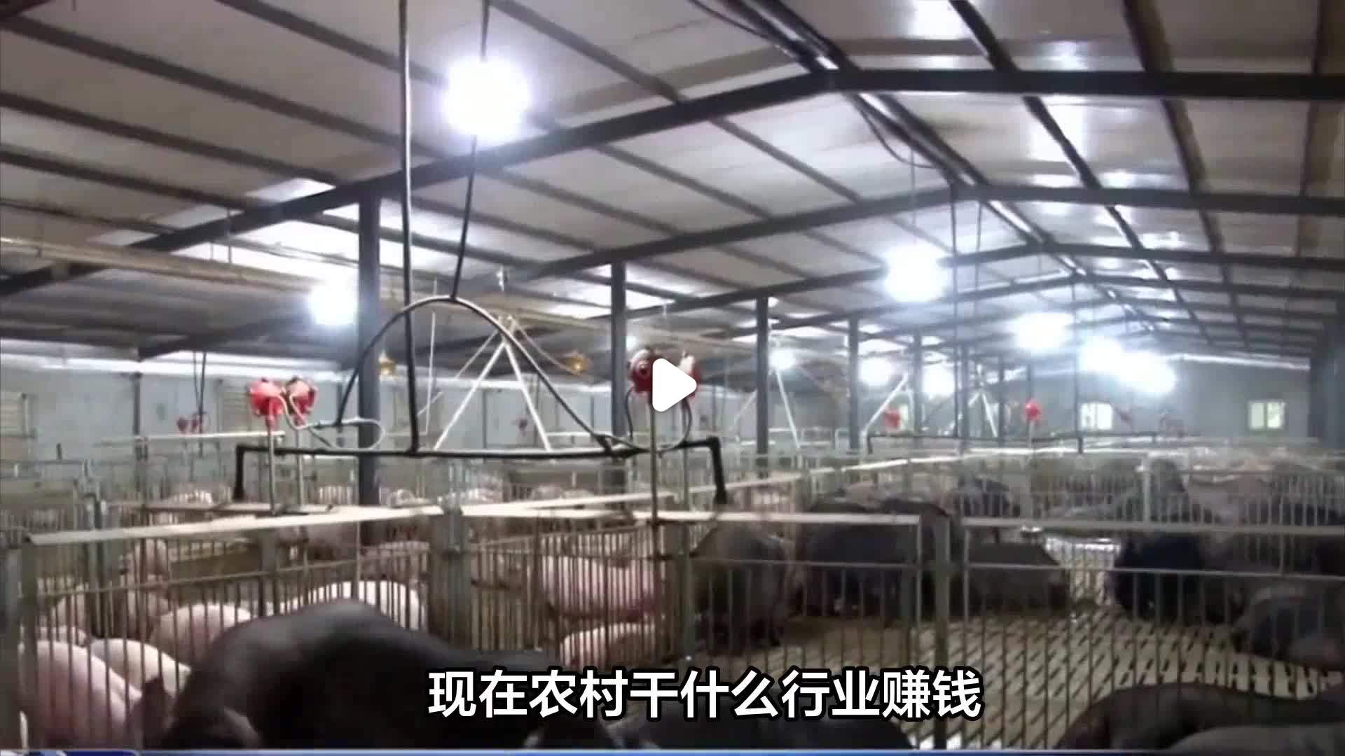 农村什么行业前景好最赚钱(2020农村什么行业比较好赚钱)