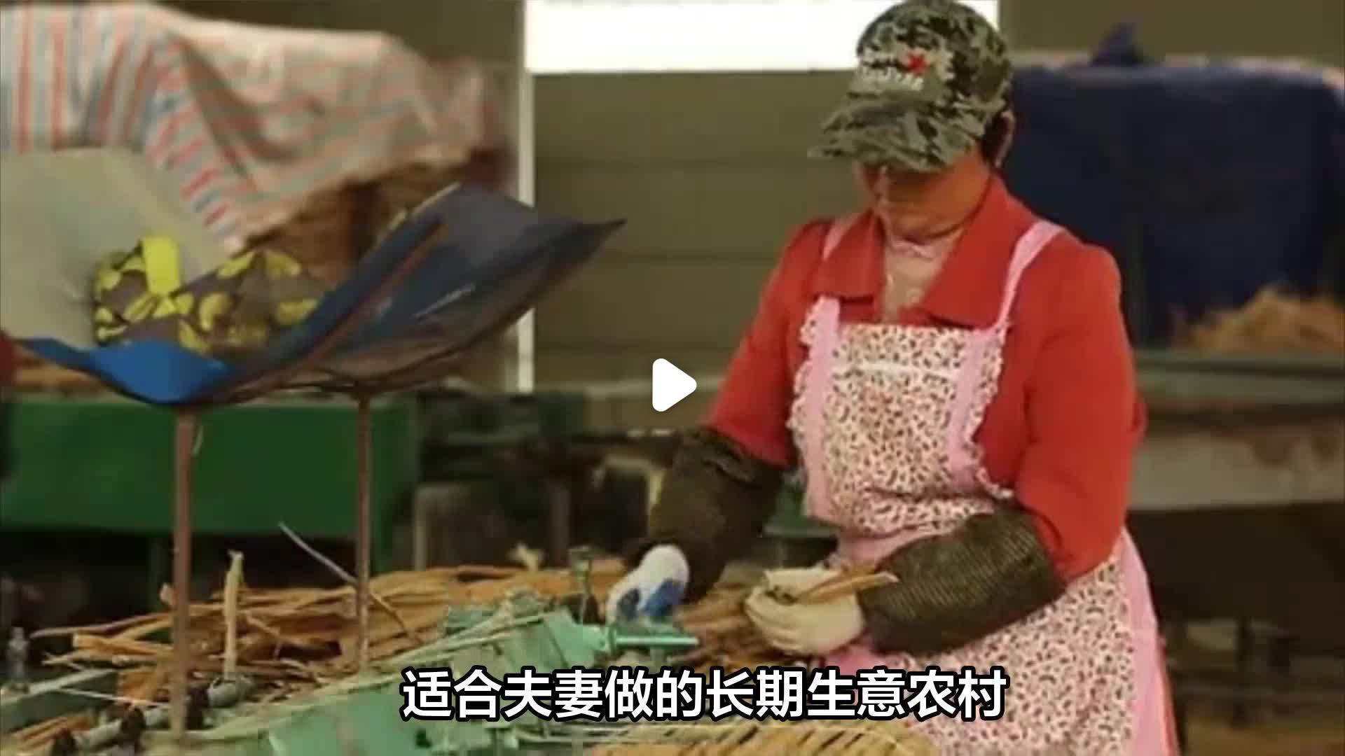 最适合农村人做的10种小生意(最适合在农村做的比较赚钱的小生意)