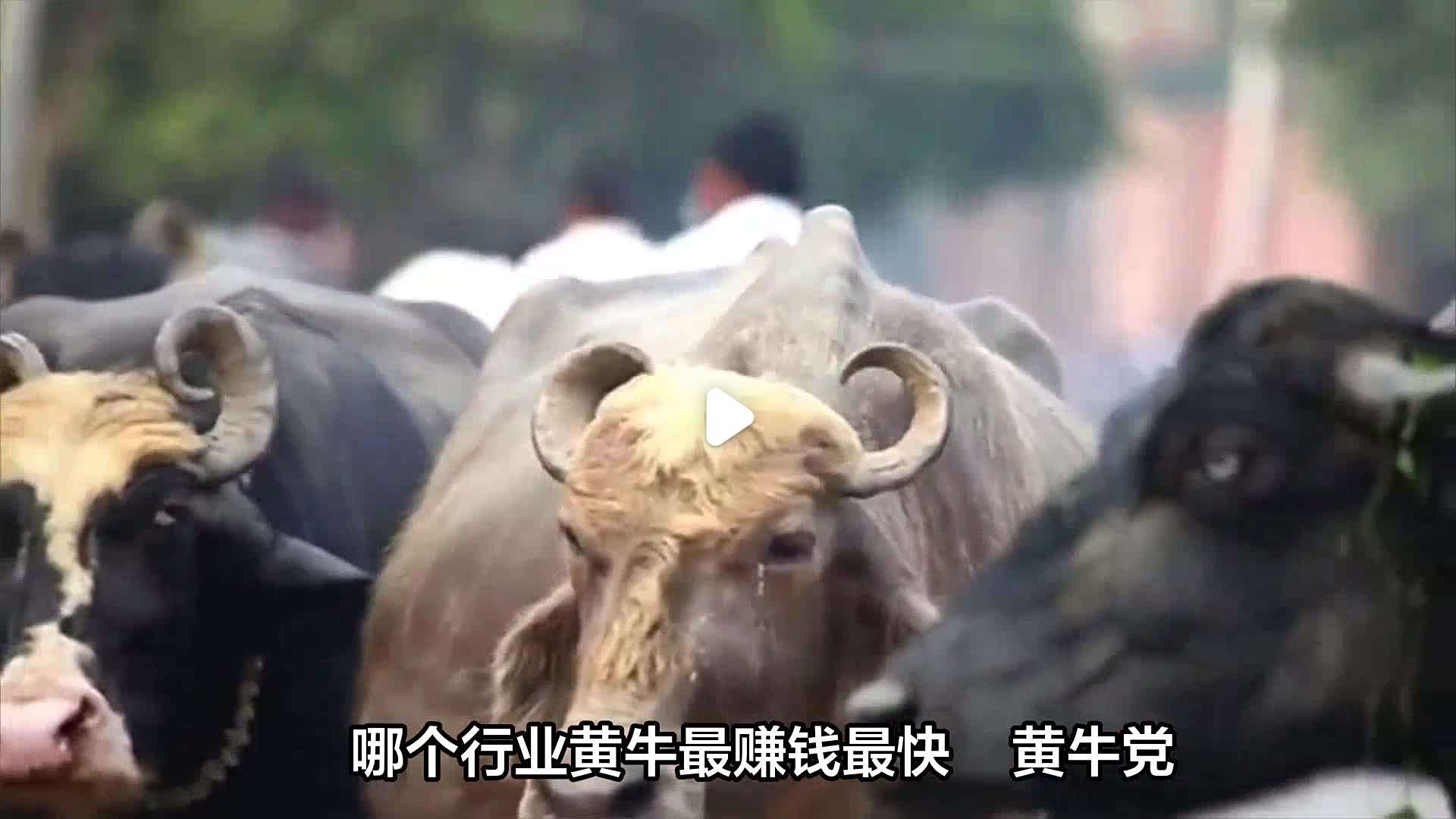 关于北京市海淀妇幼保健院黄牛票贩子联系方式_办法多,价格不贵的信息