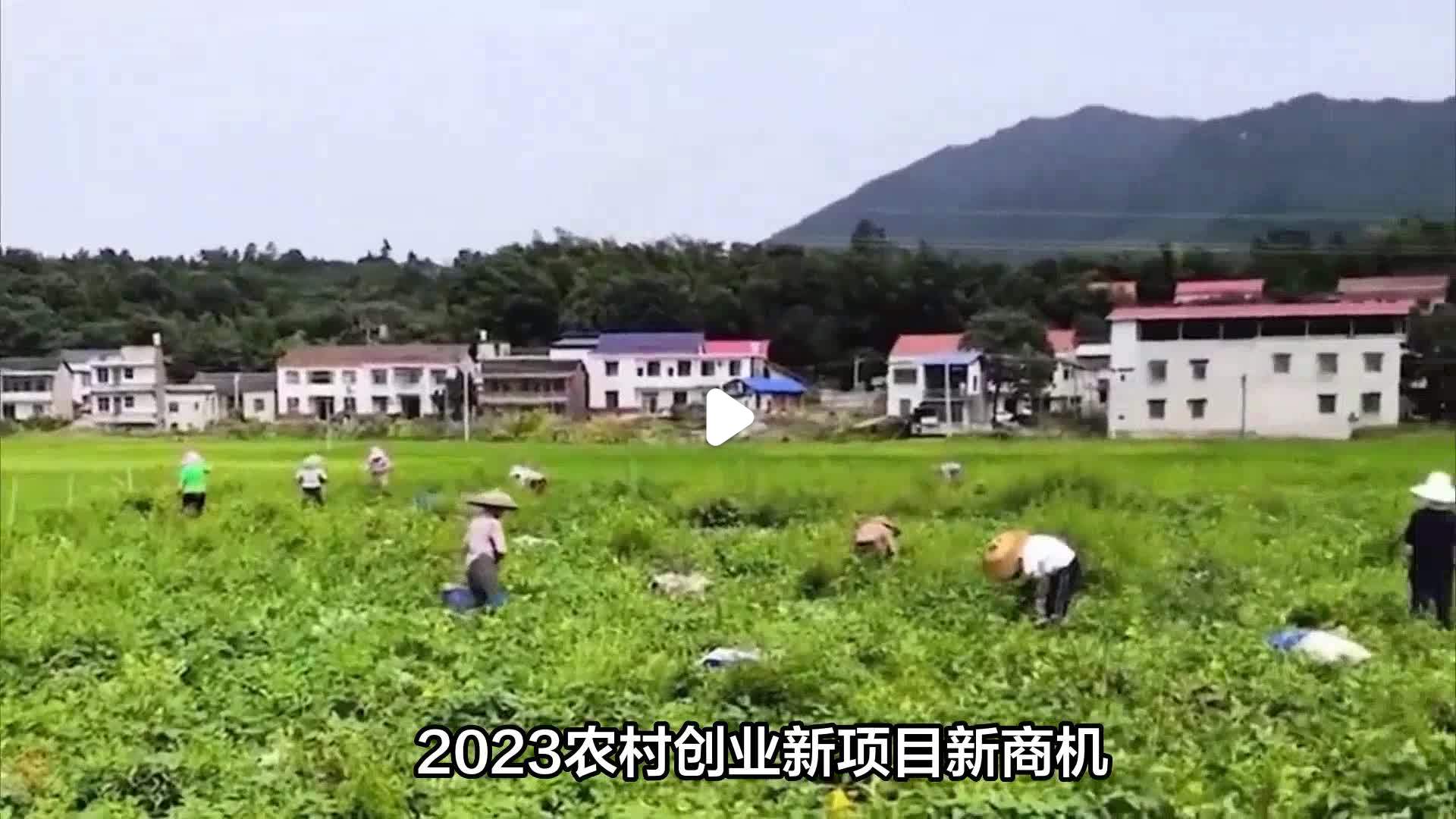 创业新项目新商机健康(2020创业商机 新项目)