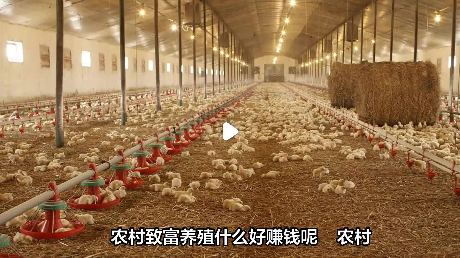 致富干什么赚钱快一点(致富干什么赚钱快一点的工作)