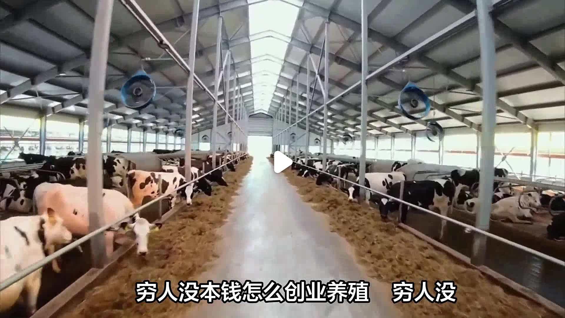 创业养殖致富项目大全最新(创业养殖致富项目大全最新进展)