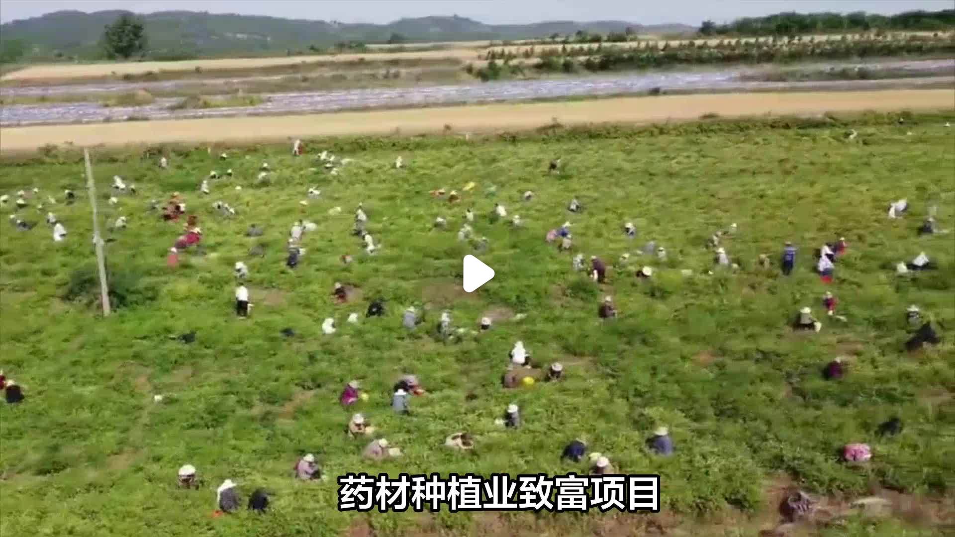 推荐47个农村创业致富商机(五个适宜在农村创业致富的项目)