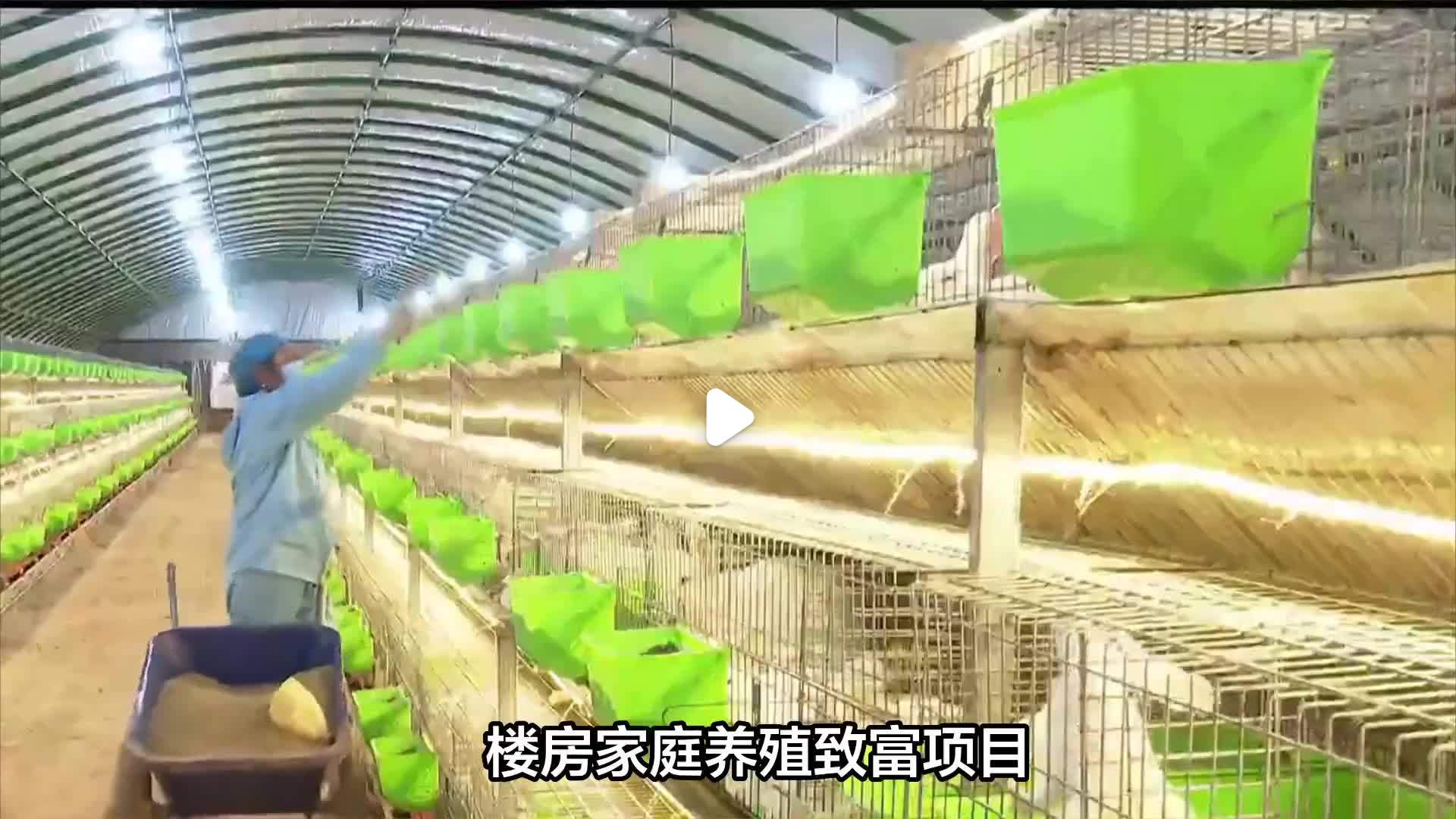 致富养殖项目农村有补贴吗(致富养殖项目农村有补贴吗现在)