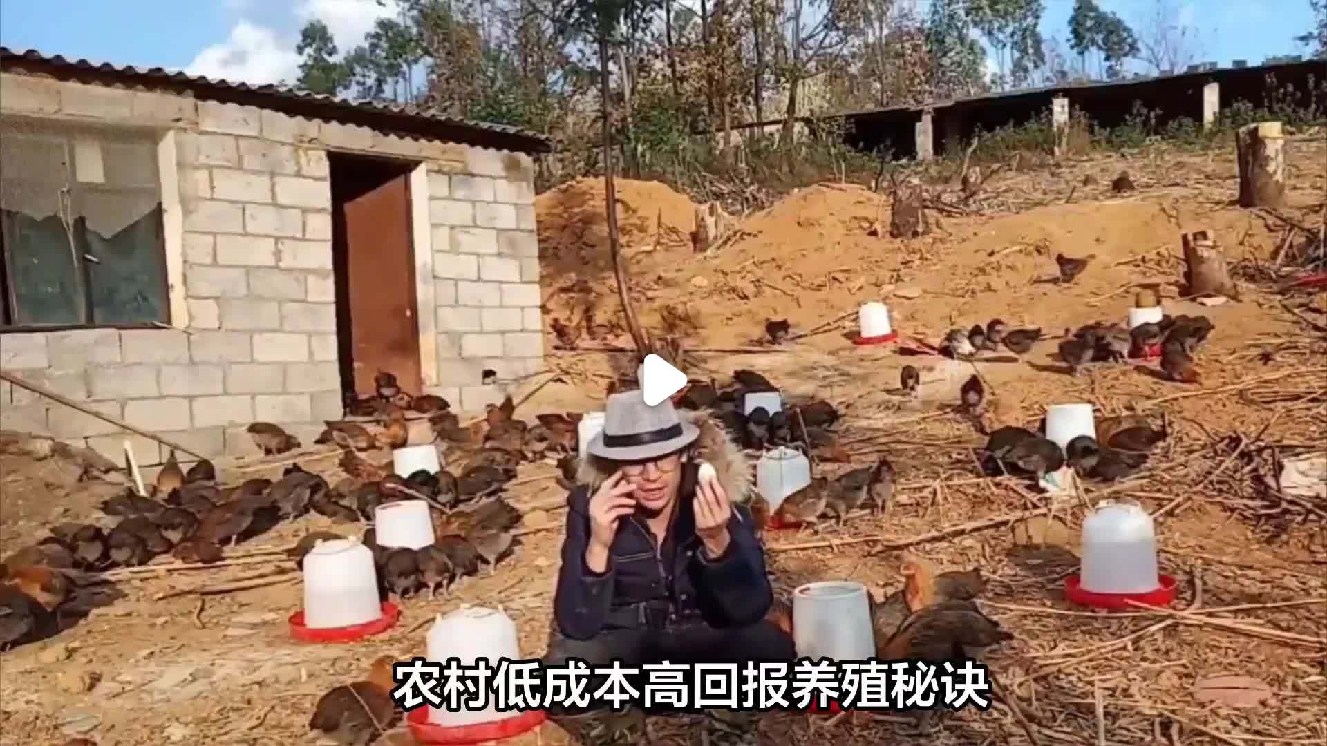 低成本养殖赚钱项目有哪些(低成本养殖赚钱项目有哪些呢)