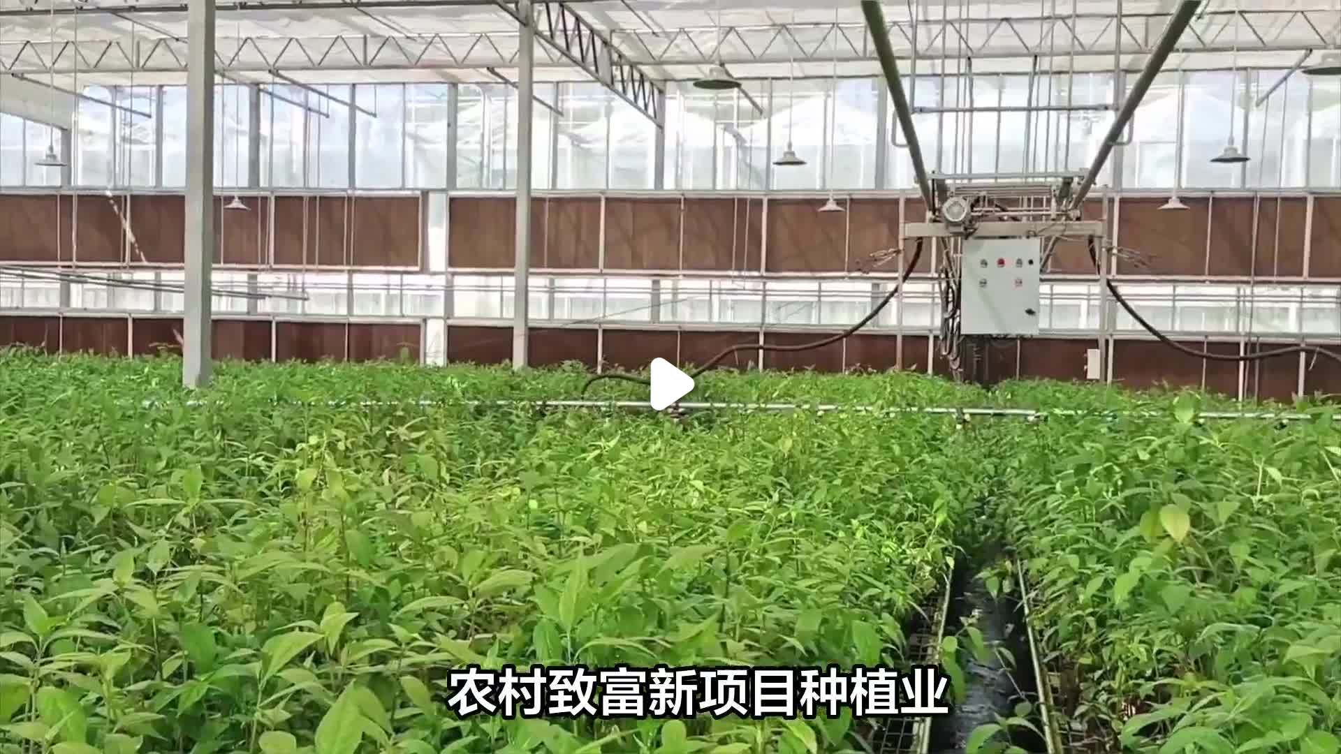 农村致富项目加盟(农村创业致富项目加盟)