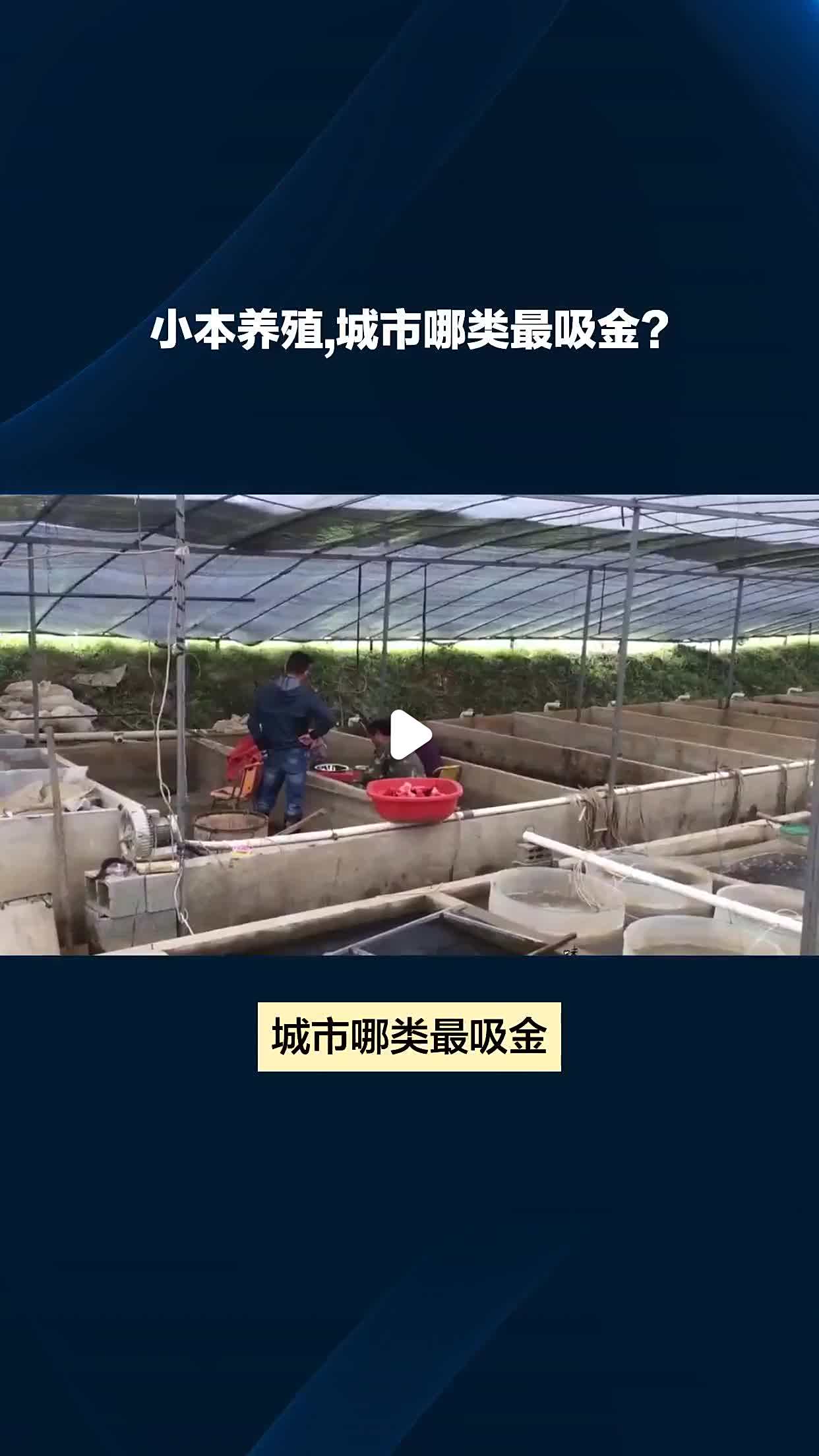 农村搞小型养殖需要什么手续(农村小型养殖需要办理什么手续)