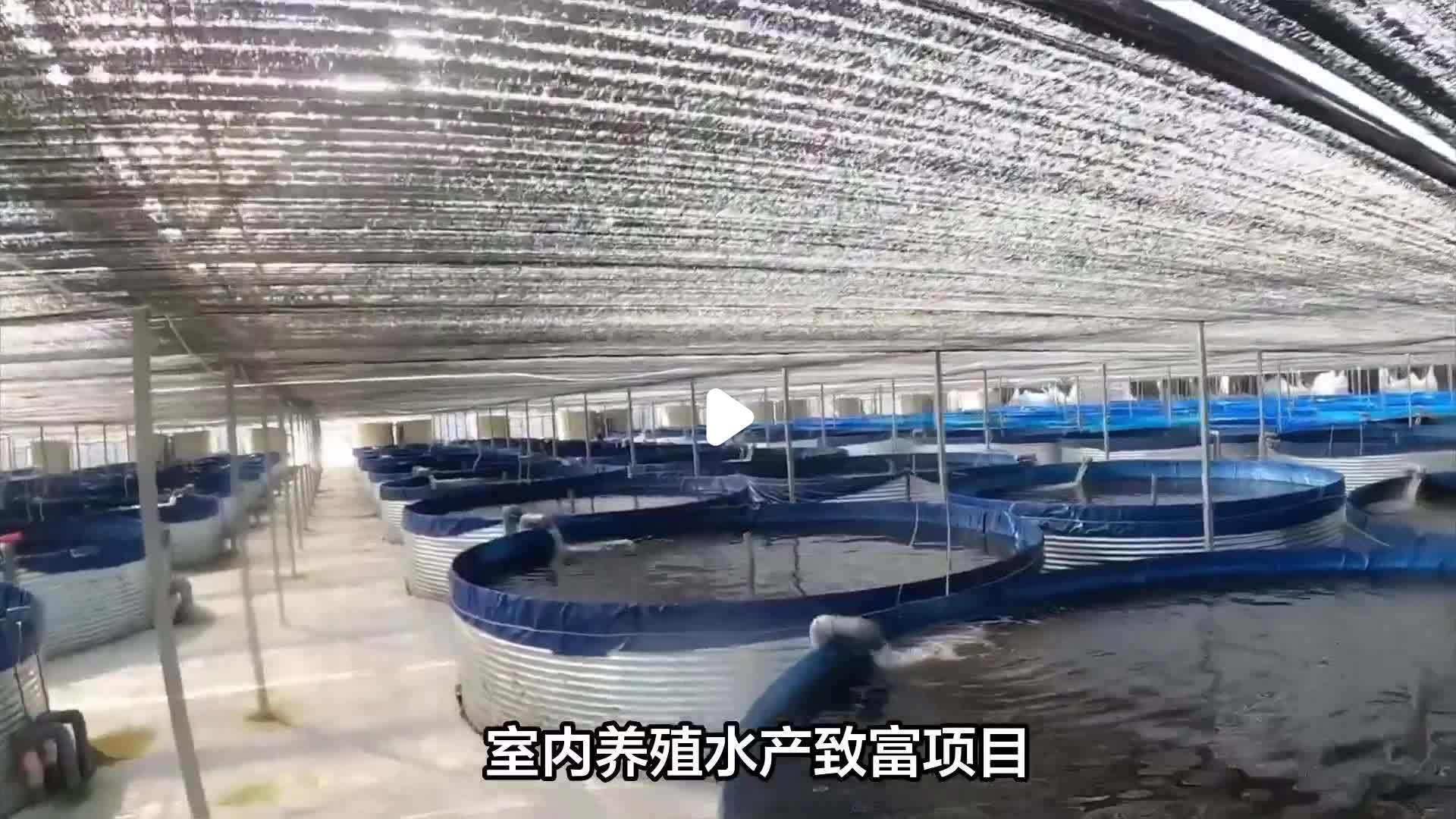 小型室内养殖致富示范(小型室内养殖什么最赚钱)