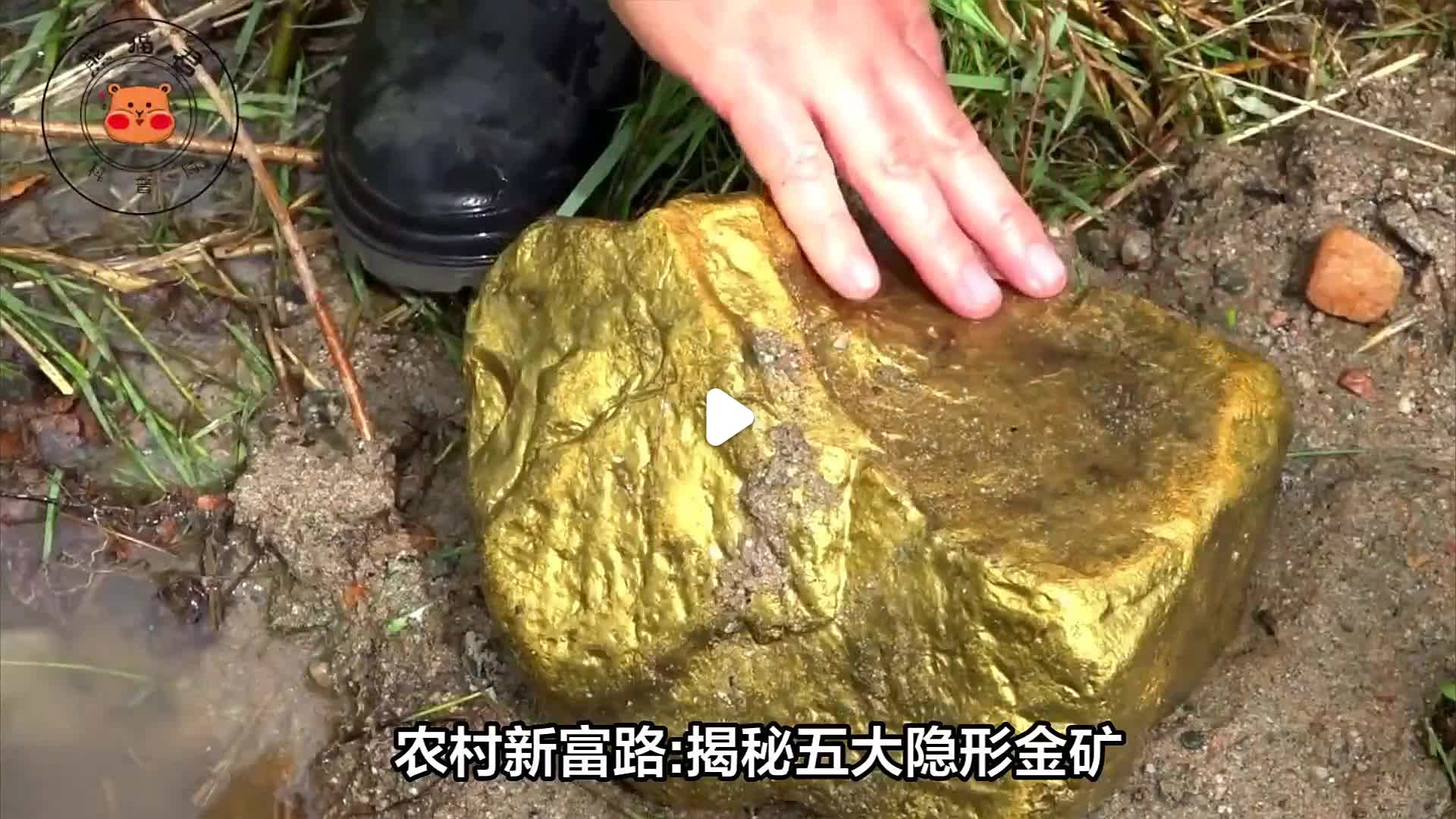 农村的致富经验有哪些(农村的致富经验有哪些内容)